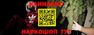 гидра Анжеро-Судженск