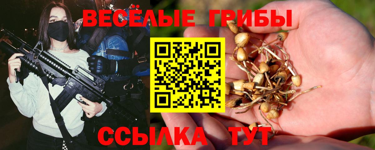 Ангарск  Галлюциногенные грибы ЛСД  Вход с VPN 